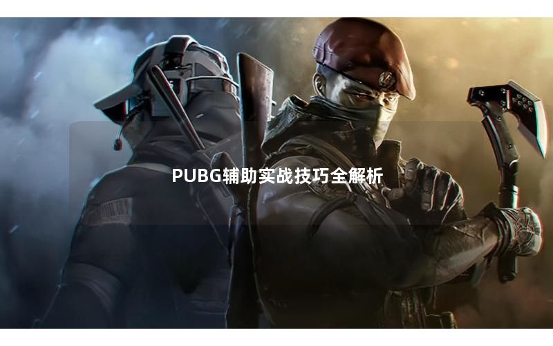 PUBG辅助实战技巧全解析
