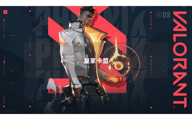 皇家卡盟