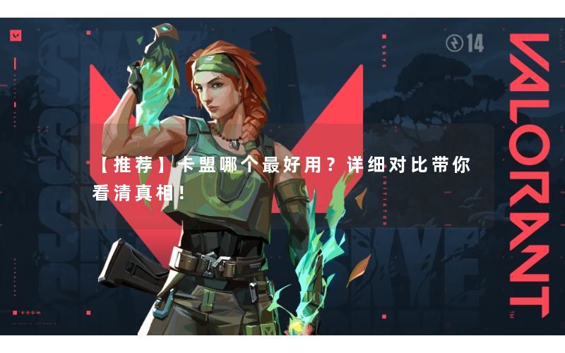 【推荐】卡盟哪个最好用?详细对比带你看清真相! 【推荐】卡盟哪个最好用?详细对比带你看清真相!
