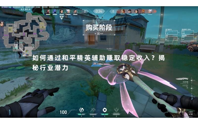 如何通过和平精英辅助赚取稳定收入？揭秘行业潜力