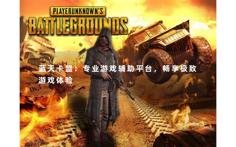 蓝天卡盟：专业游戏辅助平台，畅享极致游戏体验
