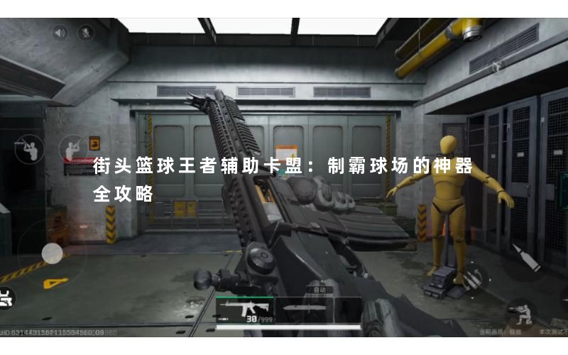 街头篮球王者辅助卡盟：制霸球场的神器全攻略