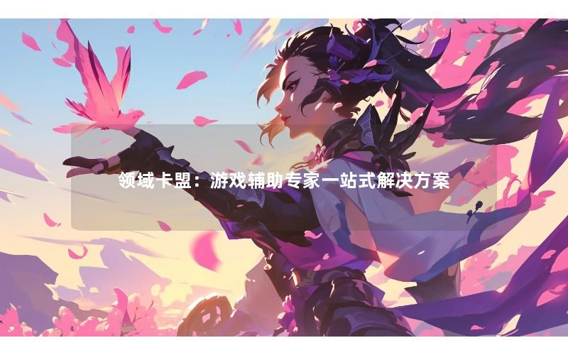 领域卡盟：游戏辅助专家一站式解决方案