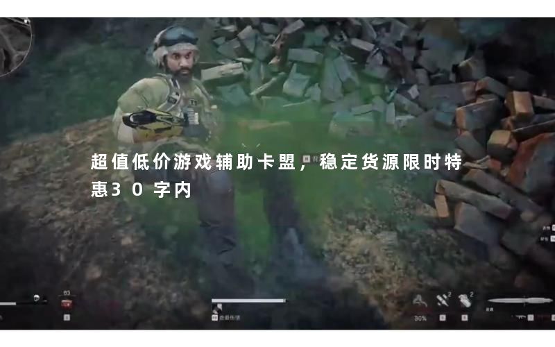 超值低价游戏辅助卡盟，稳定货源限时特惠30字内