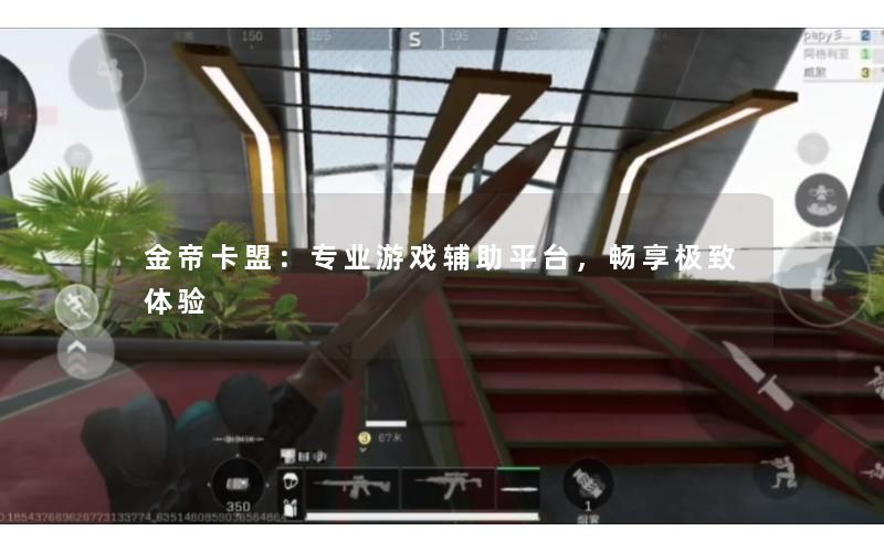 金帝卡盟：专业游戏辅助平台，畅享极致体验