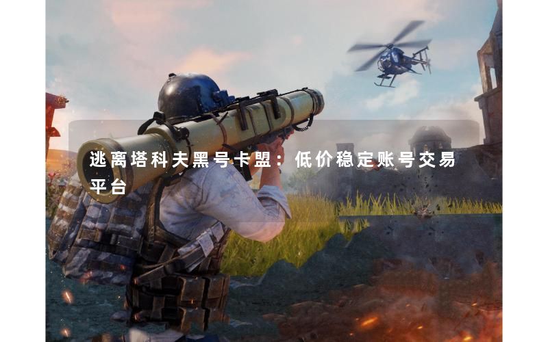 逃离塔科夫黑号卡盟：低价稳定账号交易平台