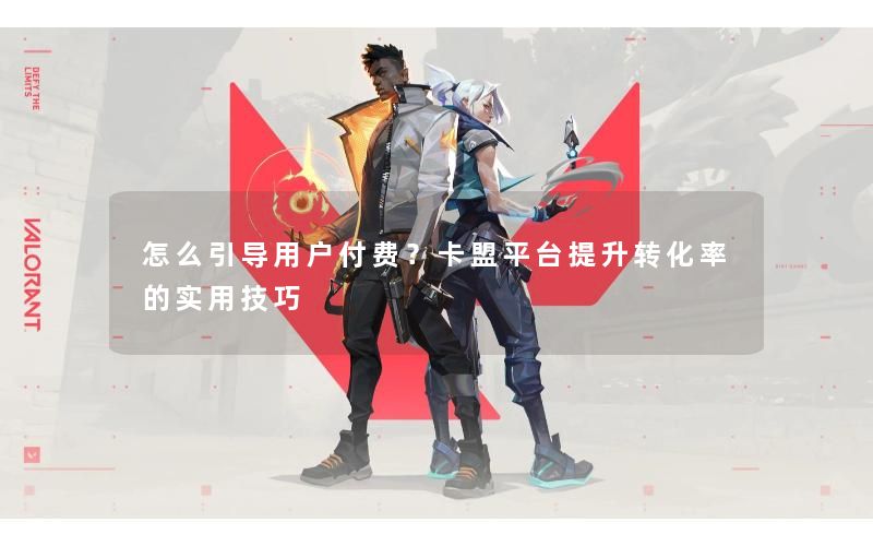 怎么引导用户付费？卡盟平台提升转化率的实用技巧