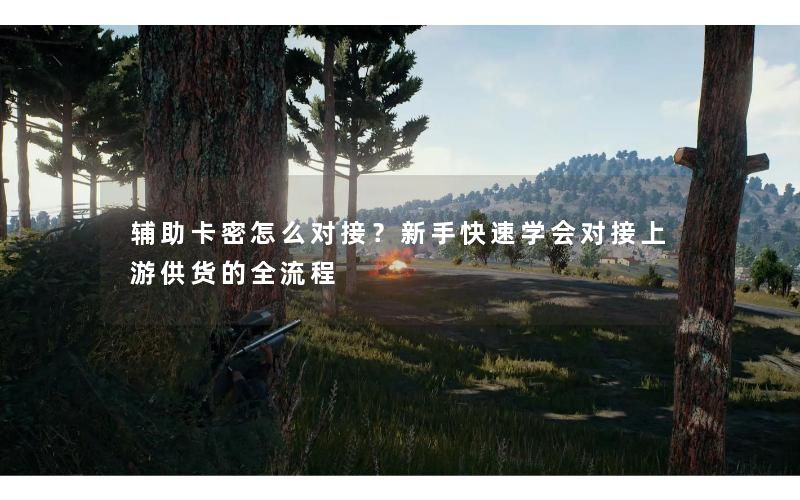 辅助卡密怎么对接？新手快速学会对接上游供货的全流程