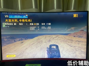 绝地求生迈巴赫辅助：专业品质保障，极致游戏体验