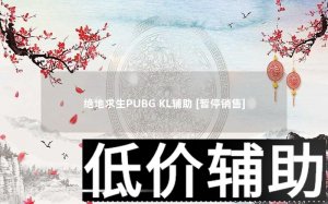 绝地求生PUBG KL辅助功能详解与购买指南