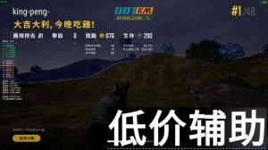 绝地求生寒霜辅助：高清透视 全局追踪 精准预判制胜秘籍