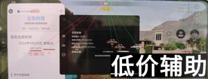 <b>三角洲行动「豆芽菜」辅助：高效战术支援系统</b>
