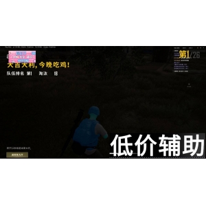 绝地求生007辅助：优雅制胜，吃鸡必备神器
