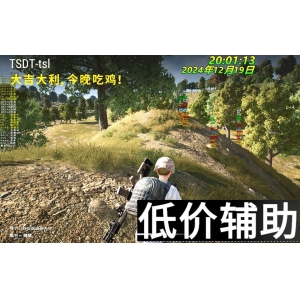 绝地求生特斯拉联名款-科技巅峰装备，助你稳坐吃鸡王者宝座